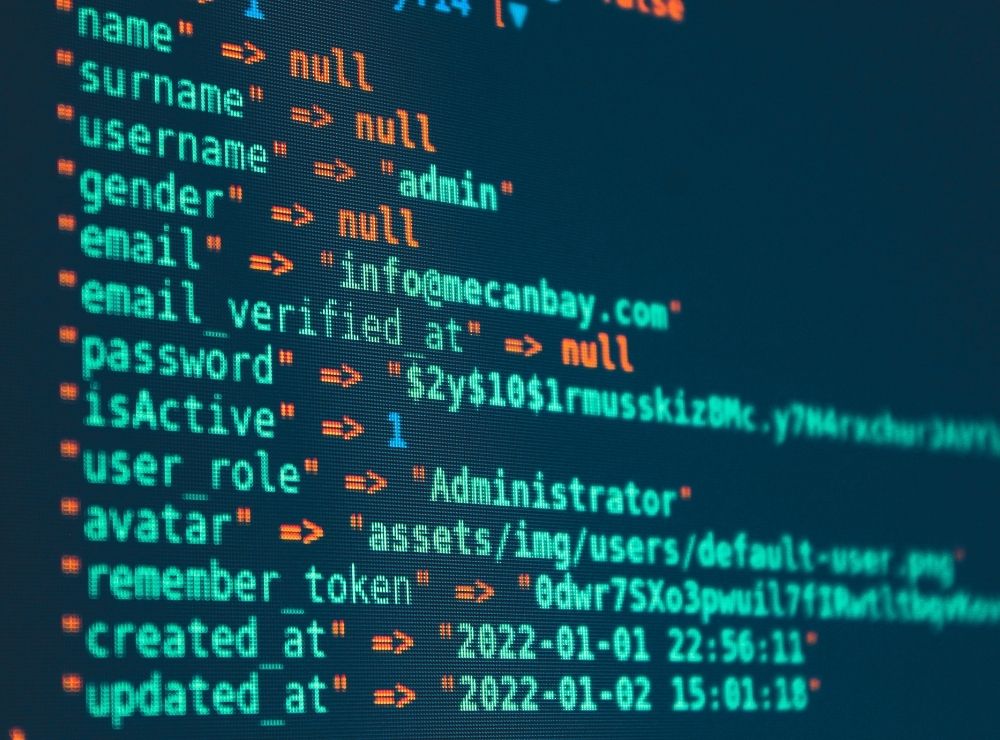Se muestra una imagen de una pantalla clásica del proceso de análisis de vulnerabilidades de un sistema.